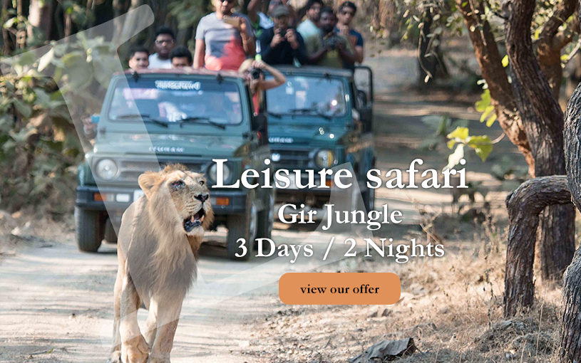 Leisure Safari